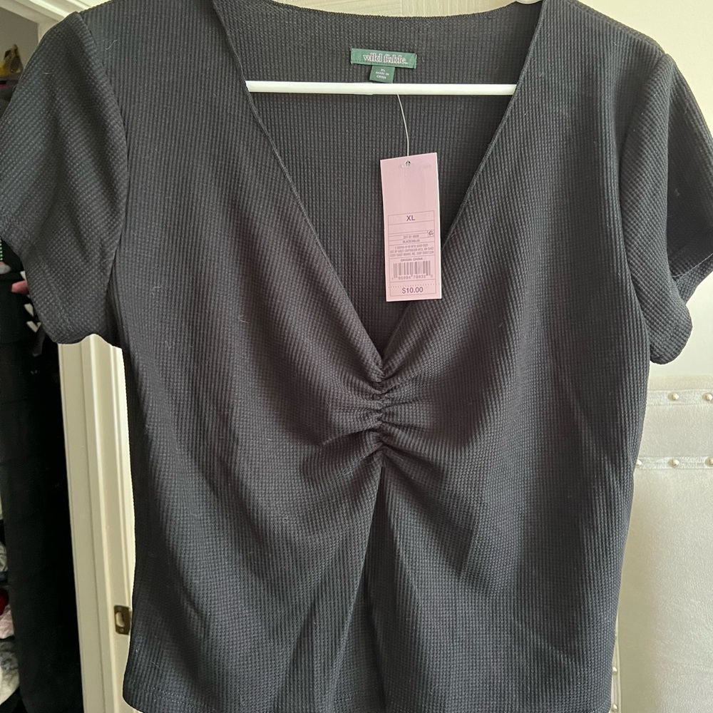 NWT Wild fable crop top